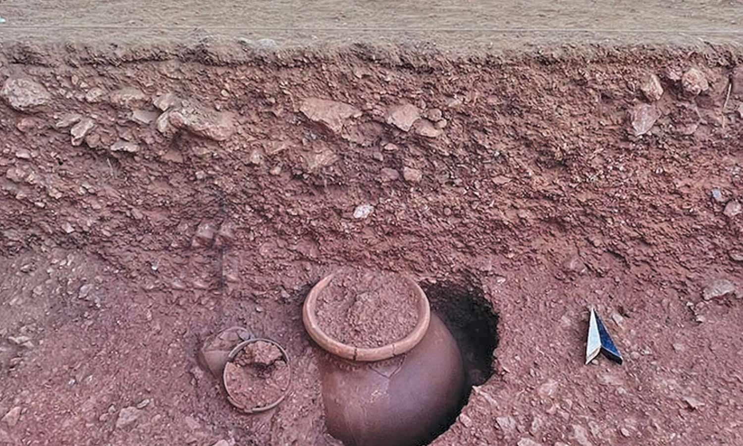 குழந்தையின் முதுமக்கள் தாழியில் 4 வளையங்களை கொண்ட வெண்கல வளையல்- காப்பு கண்டுபிடிப்பு