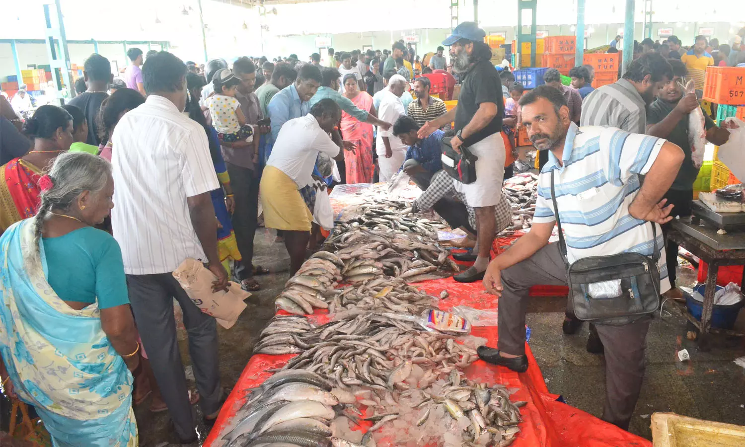 கோவை மீன் மார்க்கெட்டில் மீன் வாங்க குவிந்த மக்கள் | People gathered to buy  fish at Coimbatore fish market