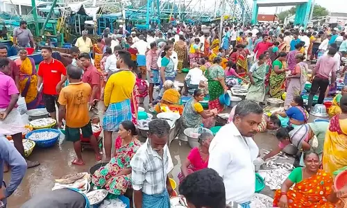 மீன்பிடி தடைக்காலம் முடிந்து கடலூர் துறைமுகத்தில் மீன் வாங்க குவிந்த ஆயிரக்கணக்கான மக்கள்