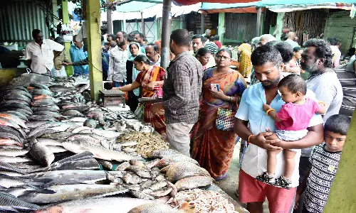 ஈரோடு மார்க்கெட்டில் மீன்கள் வரத்து குறைந்தது