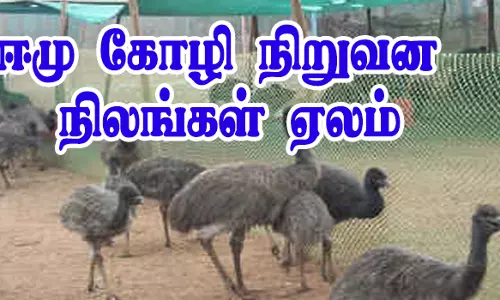 பொதுமக்களிடம் பணம் வாங்கி மோசடி நாமக்கல் ஈமு கோழி நிறுவன நிலங்கள் ஏலம்