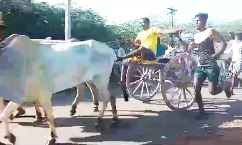 மாட்டுவண்டி பந்தயம்