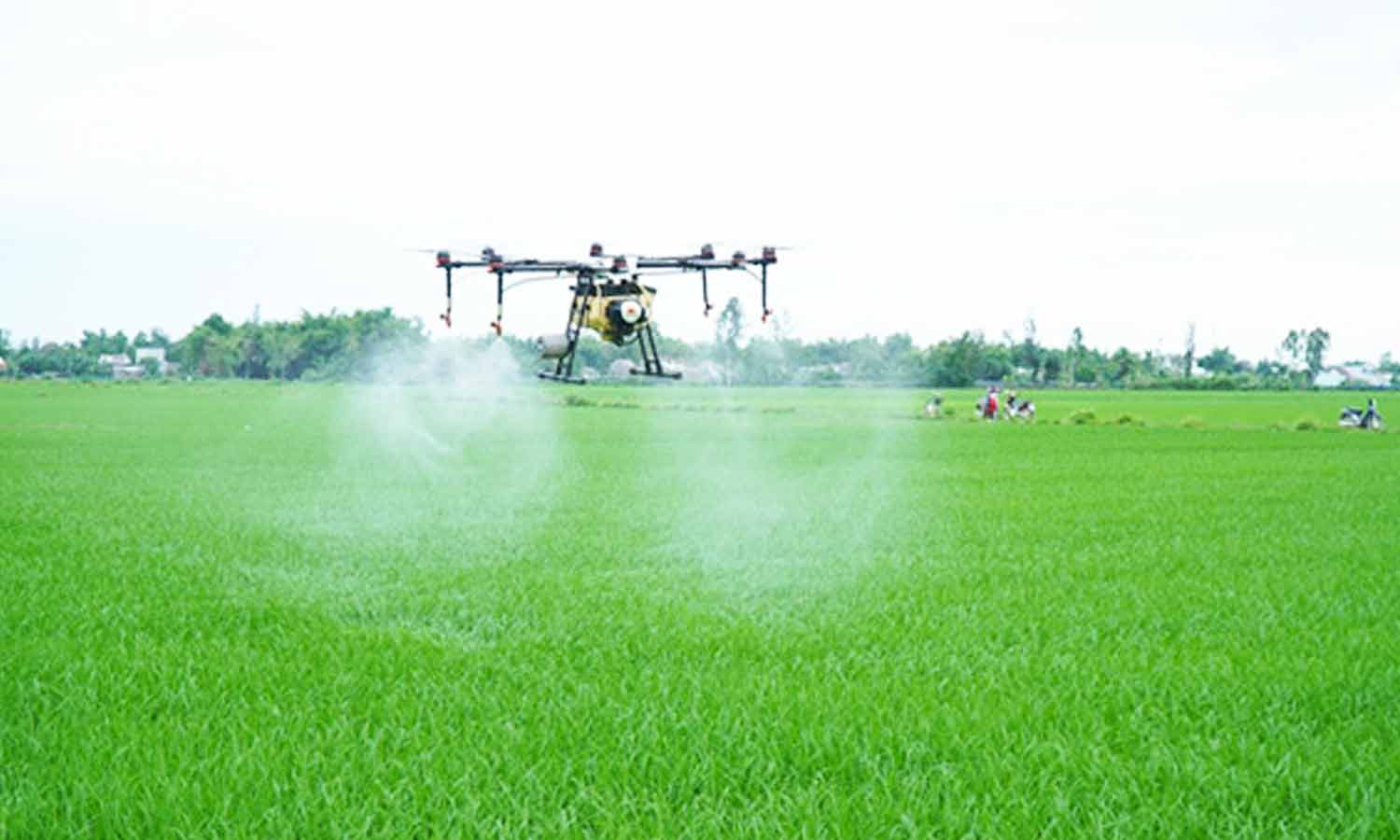 டிரோன் மூலம் நானோ யூரியா உரங்கள் தெளிப்பது குறித்து செயல்விளக்கம் டிரோன் மூலம் நானோ யூரியா உரங்கள் தெளிப்பது குறித்து செயல்விளக்கம்