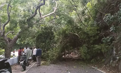 பலத்த காற்றுடன் மழை: ஏற்காடு மலைப்பாதையில் ராட்சத மரம் சாய்ந்தது- போக்குவரத்து பாதிப்பு