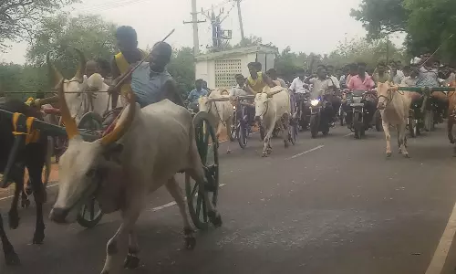 திருவரங்குளம் அருகே மாட்டு வண்டி எல்கை பந்தயம்