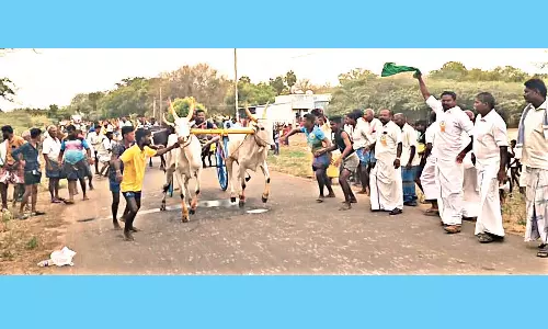 இரட்டை மாட்டு வண்டி பந்தயம்