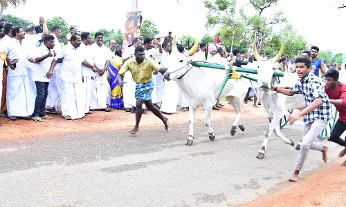 அ.தி.மு.க. சார்பில் மாட்டு வண்டி பந்தயம்