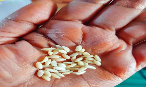 கண்டமங்கலம் அருகே இலவச ரேஷன் அரிசியில் பிளாஸ்டிக் அரிசி கலந்துள்ளதா? பொதுமக்களிடையே அச்சம்