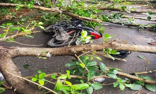 தொடர் மழை காரணமாக பள்ளிகளுக்கு இன்று விடுமுறை