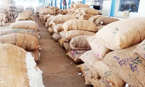 ஒழுங்குமுறை விற்பனை கூடத்தில் பருத்தி ஏலம்