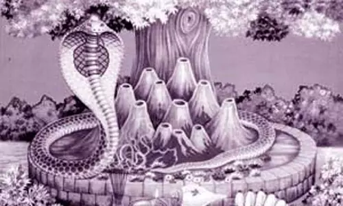 நாகத்தை பார்த்தால் யோகம் தெரியும்