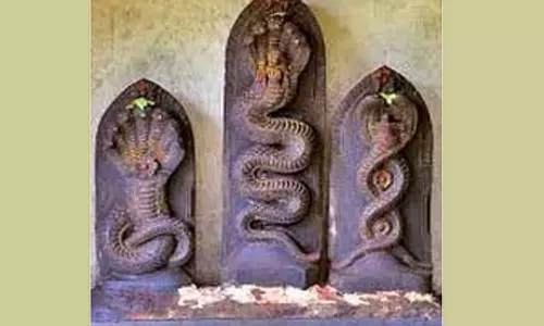 ஜாதக அமைப்பு படி நாக தோஷம்