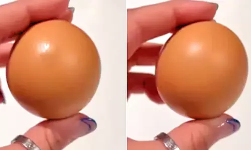 10 லட்சத்தில் ஒன்று- வைரலாகும் உருண்டை வடிவ முட்டை