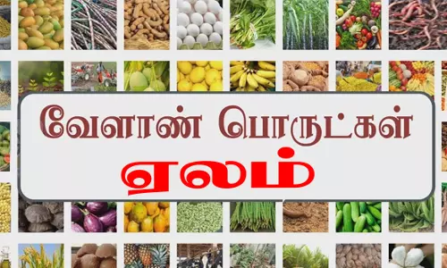 அரசு வேளாண் ஒழுங்கு முறை விற்பனை கூடத்தில்வேளாண் பொருட்கள் ரூ.32.76லட்சத்துக்கு விற்பனை