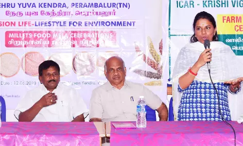 சிறுதானிய உணவு திருவிழா