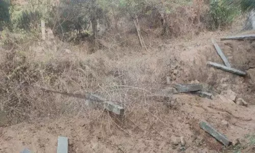 கம்பி வேலியை சேதப்படுத்திய காட்டு யானைகள்