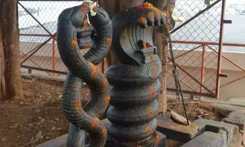 ராகு-கேது பரிகார தலங்கள்