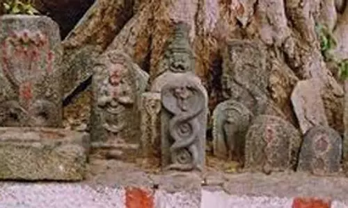 பாம்புக்கல் நிறுவினால் ஆண் குழந்தை பிறக்கும்