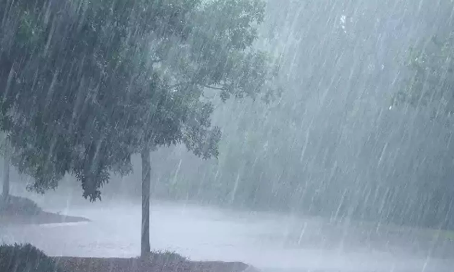 ஊட்டியில் தீவிரம் அடையத் தொடங்கிய தென்மேற்கு பருவமழை