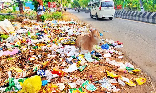 தென்காசியில் காற்றில் பறக்கும் குப்பைகள்