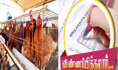 நாட்டுக்கோழி பண்ணைகள் அமைக்க விண்ணப்பிக்கலாம்
