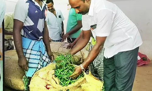 பாவூர்சத்திரம் தினசரி மார்க்கெட்டில் உச்சம் தொட்ட மிளகாய் விலை-ஒரு கிலோ ரூ.80-க்கு விற்பனை