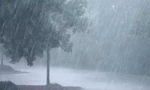 ஊட்டியில் தீவிரம் அடையத் தொடங்கிய தென்மேற்கு பருவமழை