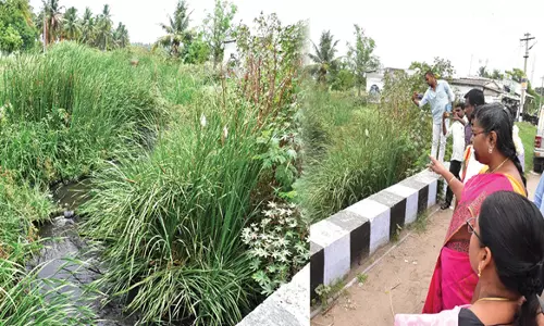 நாமக்கல் அருகே வளர்ச்சி திட்ட பணிகளை கலெக்டர் உமா ஆய்வு