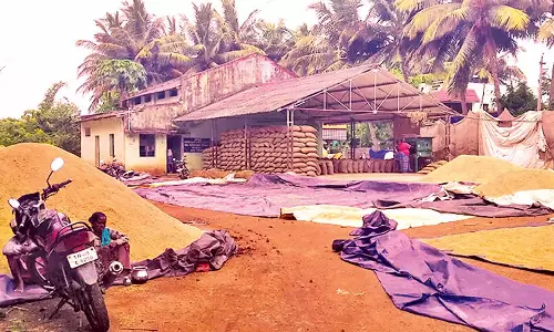 தொடர் மழையால் அரசு நெல் கொள்முதல் செய்யும் பணிகள் பாதிப்பு