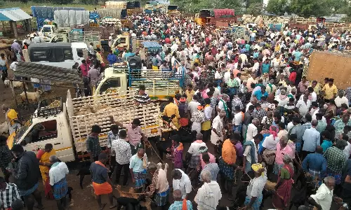 பக்ரீத் பண்டிகையை முன்னிட்டு அய்யலூர் ஆட்டுச்சந்தையில் ரூ.2 கோடிக்கு ஆடுகள் விற்பனை