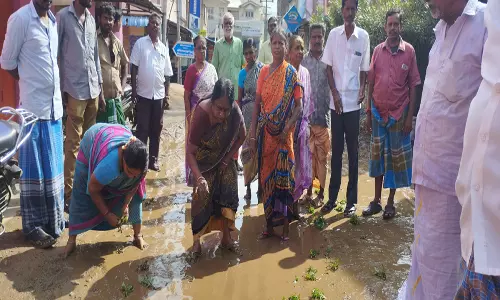 திண்டிவனத்தில்  மழை நீரை அகற்றாததால் நாற்று நட்டு போராட்டம்