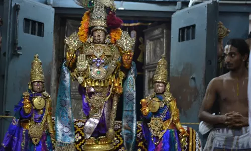 திருப்பாதிரிப்புலியூர் வரதராஜ பெருமாள் கோவில் பிரம்மோற்சவம் 25-ந் தேதி தொடங்குகிறது