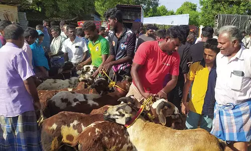 பாவூர்சத்திரம் சந்தையில் ரூ.1 கோடிக்கு ஆடுகள் விற்பனை