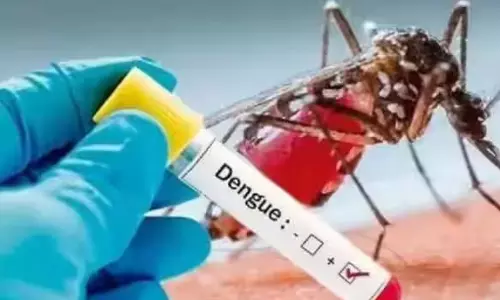 டெங்கு காய்ச்சல் தடுப்பு நடவடிக்கைகள் தீவிரம்