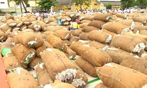 திருவாரூரில் ஒரே நாளில் ரூ.2 கோடிக்கு பருத்தி ஏலம்