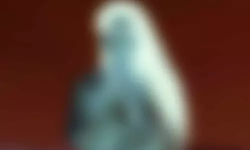 இயக்குனர் கைவசம் இருக்கும் நடிகை