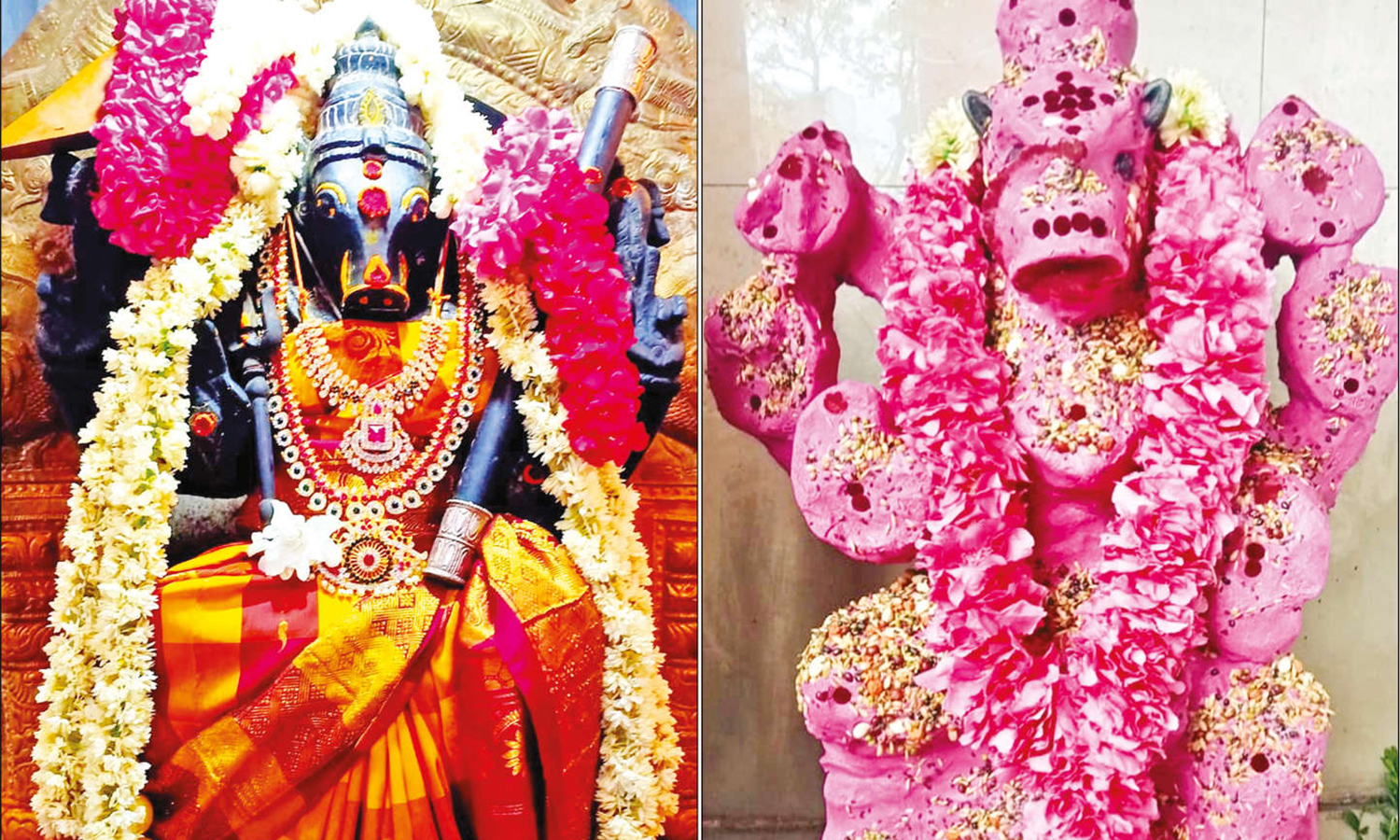 ஆஷாட நவராத்திரி வராஹி அம்மன் கோவிலில் சிறப்பு ஹோமம் ashada Navratri