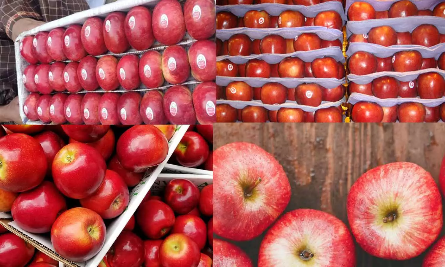 முடிவிற்கு வந்தது இந்தியா உடனான பதிலடி வரிகள்: அமெரிக்காவில் பல தரப்பினரும் வரவேற்பு முடிவிற்கு வந்தது இந்தியா உடனான பதிலடி வரிகள்: அமெரிக்காவில் பல தரப்பினரும் வரவேற்பு