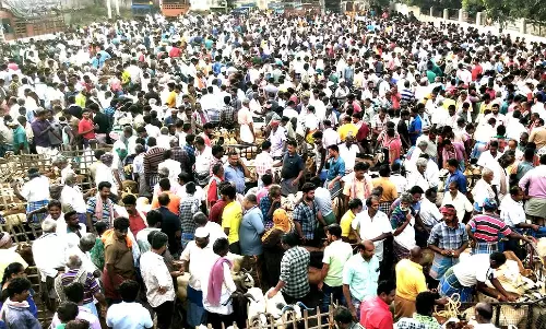 திருமங்கலம் ஆட்டுச்சந்தையில் குவிந்த வியாபாரிகள்- விற்பனை ரூ.7 கோடியை தாண்டியது