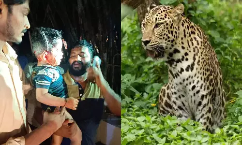 திருப்பதி மலைப்பாதையில் சிறுவனை கவ்வி சென்ற சிறுத்தையை பிடிக்க நடவடிக்கை- கேமரா மூலம் தீவிர கண்காணிப்பு