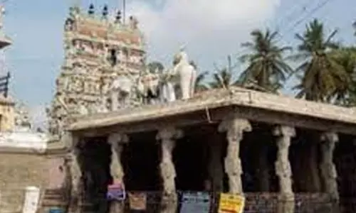 சேலம் சுகவனேஸ்வரர் கோவிலில் ஆனித்திருமஞ்சனம், சாமி திருவீதி உலா