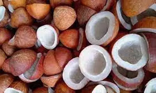 இ - நாம் திட்டம் மூலம் உடுமலை ஒழுங்குமுறை விற்பனைக்கூடத்தில்  கொப்பரை ஏலம்