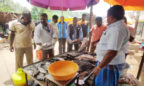 ஒகேனக்கல்லில் 92 கிலோ மீன்கள் பறிமுதல்