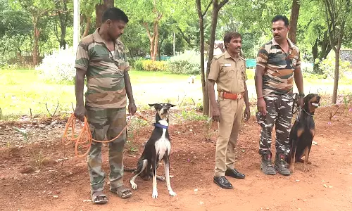 2-வது நாளாக மோப்பநாய் உதவியுடன் பாகுபலி யானையை கண்காணிக்கும் பணி தீவிரம்