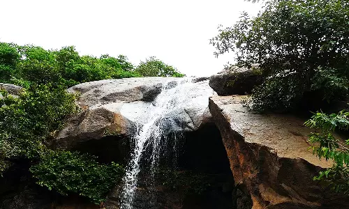 தொடர் மழை ஜலகம்பாறை அருவியில் தண்ணீர் கொட்டுகிறது