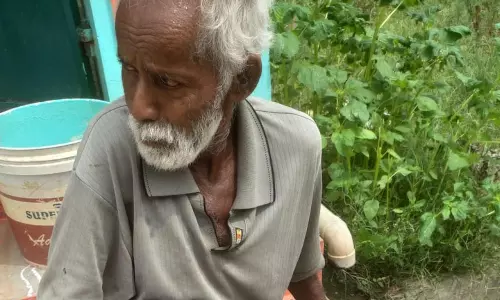 பிடமனேரியில் வெறிநாய்கள் தொல்லை அதிகரிப்பு