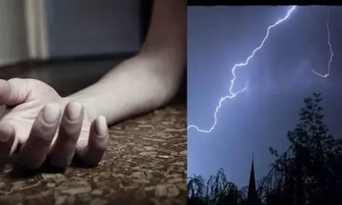 பண்ருட்டியில்  இடி தாக்கி விவசாயி படுகாயம்