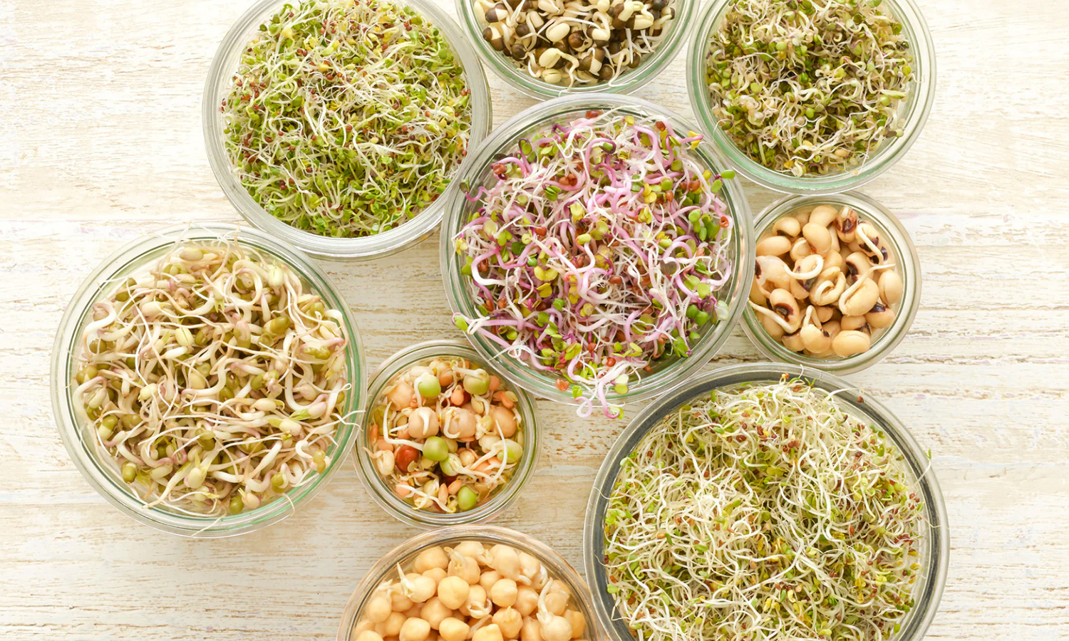 முளைகட்டிய தானியங்களை எப்படி சாப்பிட வேண்டும்? protein rich Sprouts