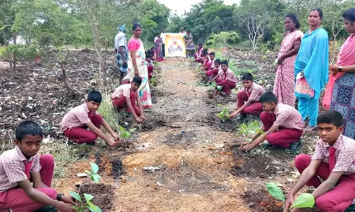 மரக்கன்றுகள் நடும் விழா