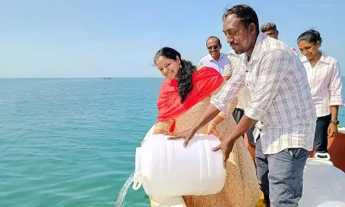 16 லட்சம் பச்சை வரி இறால் குஞ்சுகள் கடலில் விடப்பட்டன